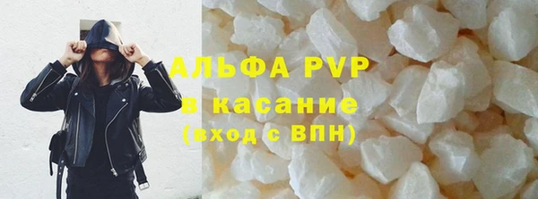 гидра Пересвет