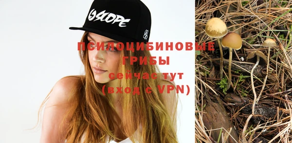амфетамин Осинники