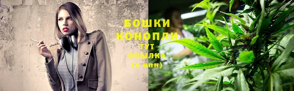 бутират Переславль-Залесский