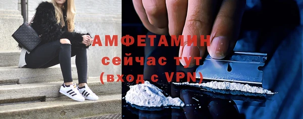 гидра Пересвет