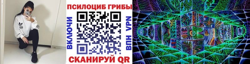 Купить где  Донецк  Псилоцибиновые грибы ЛСД 